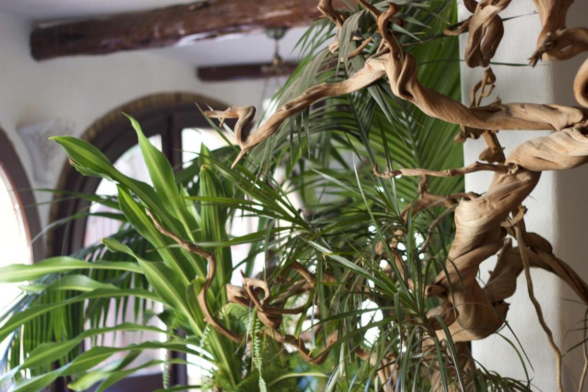 Domuseo Bed & Breakfast Quartucciu Dış mekan fotoğraf